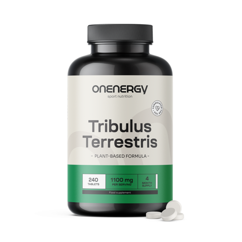Erd-Burzeldorn (Tribulus) – Extrakt 15:1, 240 Tabletten