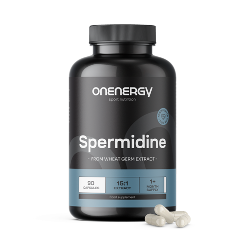Spermidin – aus Weizenkeimextrakt, 90 Kapseln