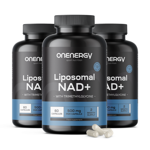 3x Λιποσωμιακό NAD+ 500 mg - με τριμεθυλογλυκίνη, συνολικά 180 κάψουλες