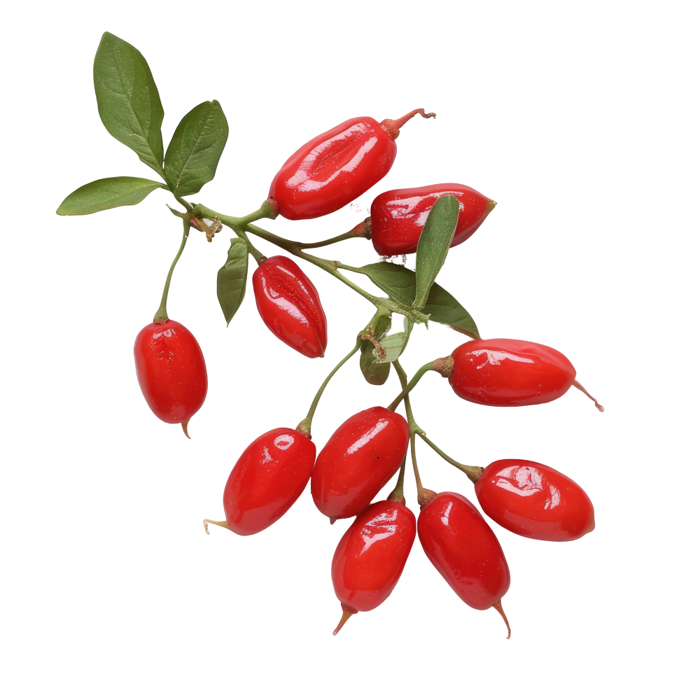 Berberin