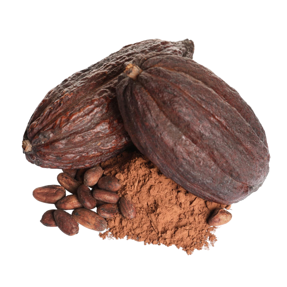 Estratto di cacao