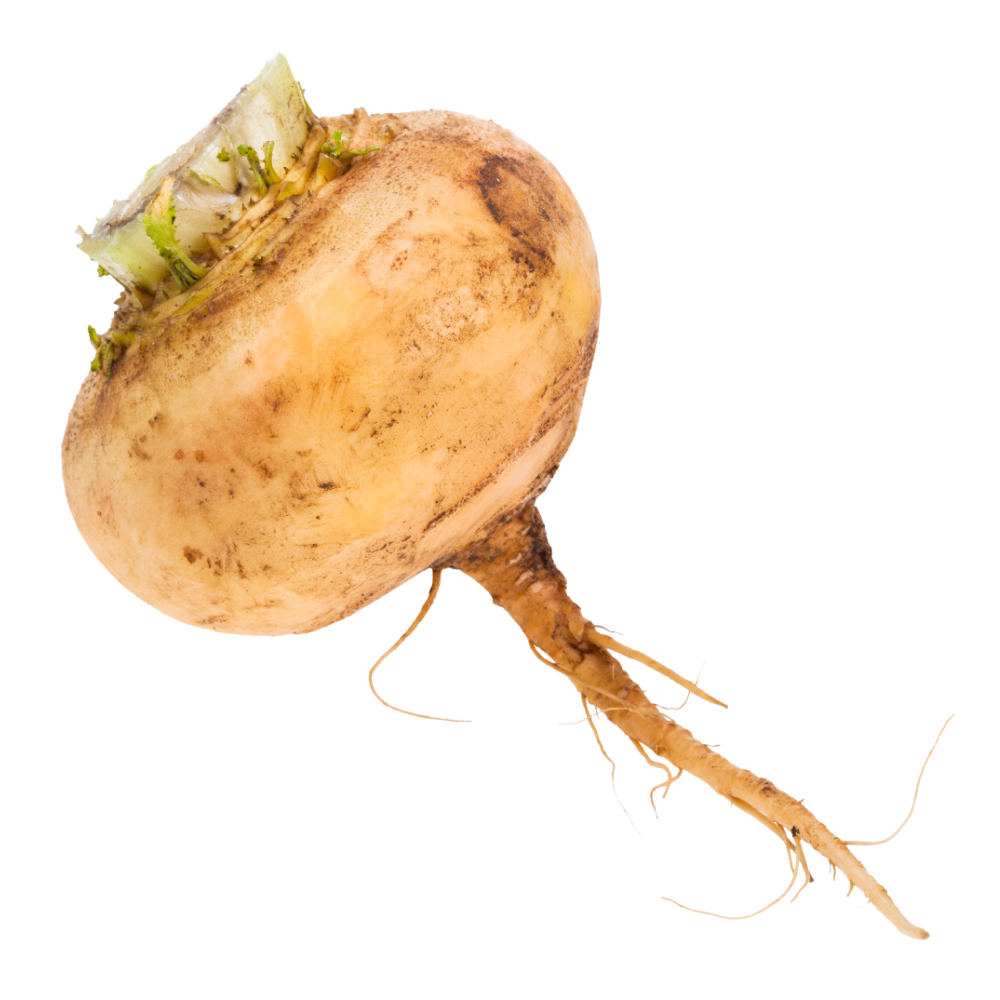 Estratto di maca
