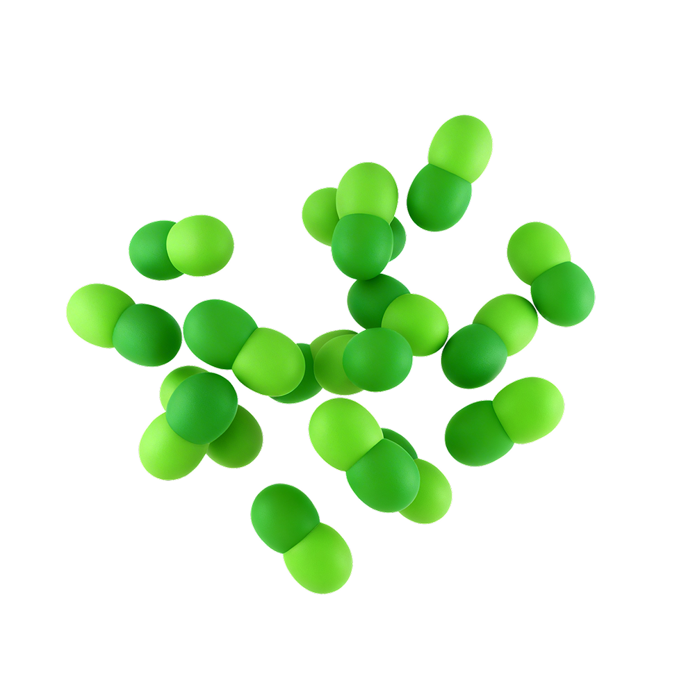 Streptococcus thermophilus