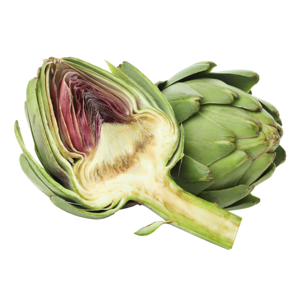 Karczoch
