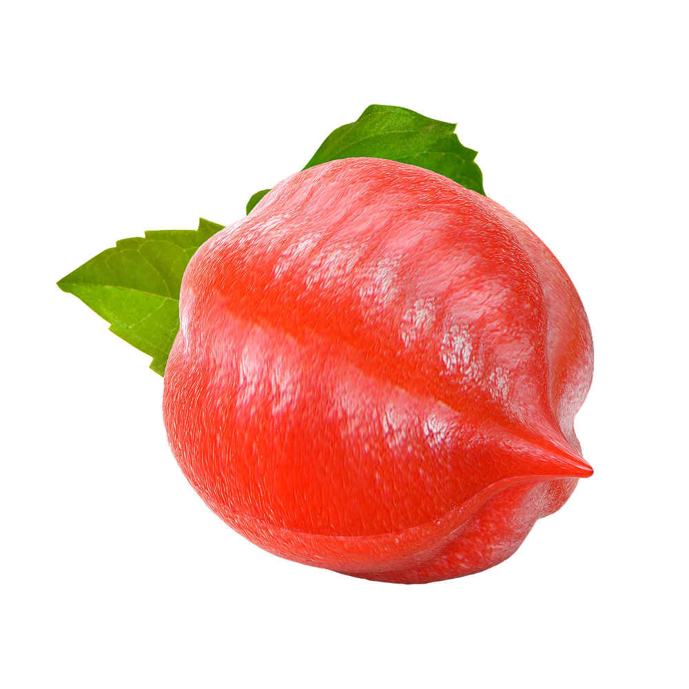 Extrato de guaraná
