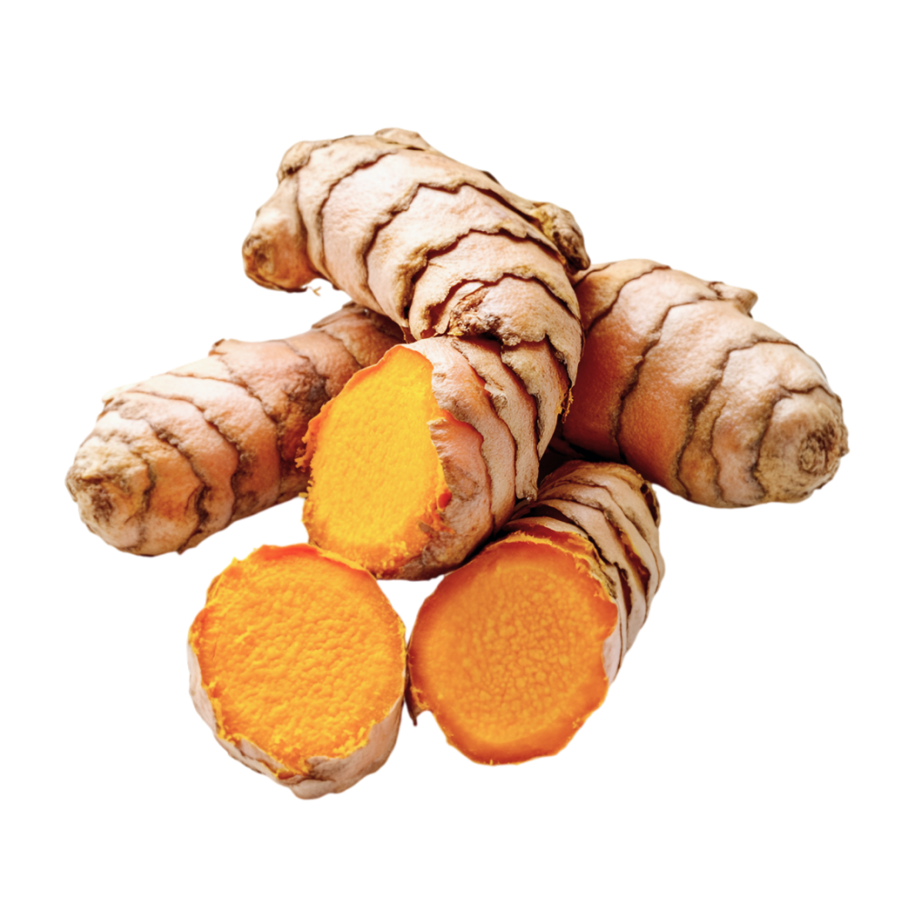 Curcuma