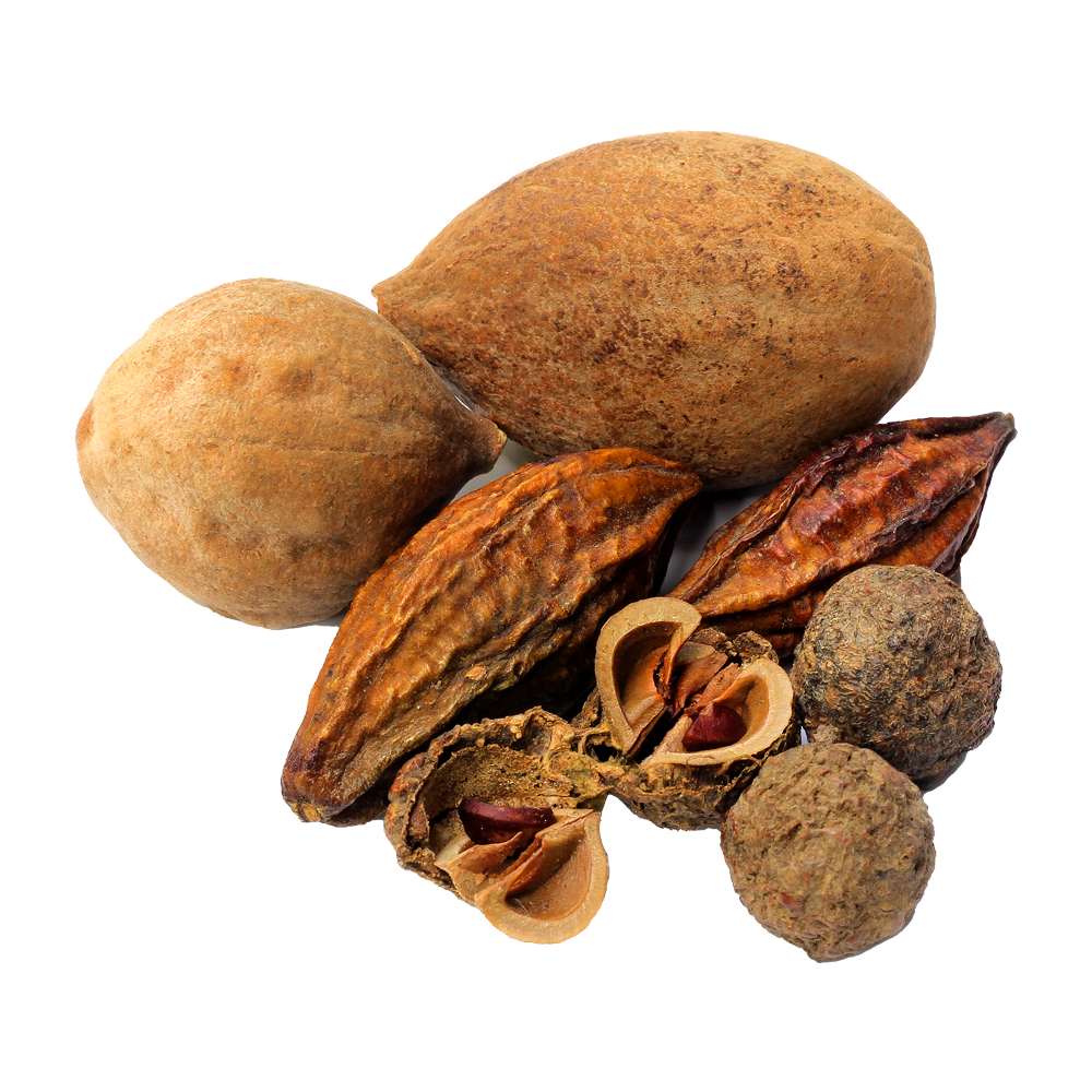 Triphala zmes
