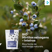Image preview 1