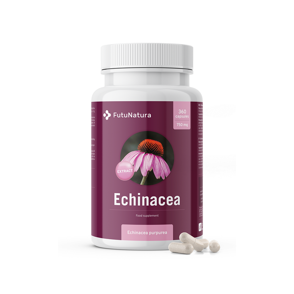 Equinácea-purpúrea - extrato 10:1