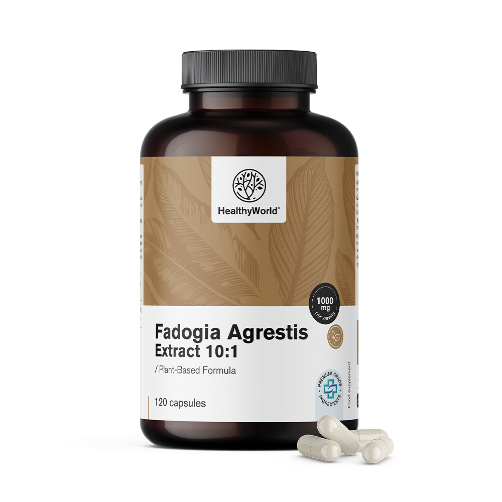 Fadogia Agrestis 1000 mg em cápsulas
