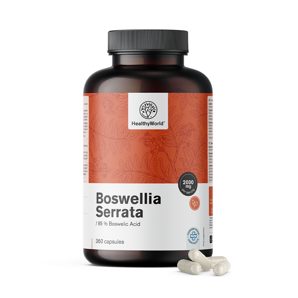 Boswellia serrata – 85 % de ácidos boswélicos