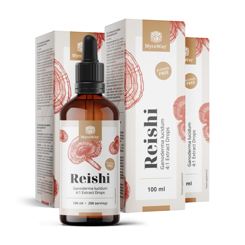 3x Reishi – extrato em gotas, total de 300 ml