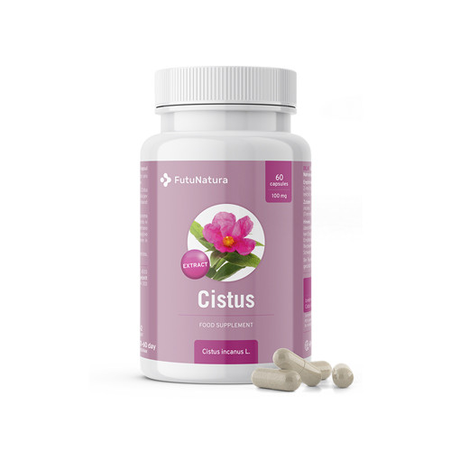 Trandafir de stâncă –  extract, 60 de capsule