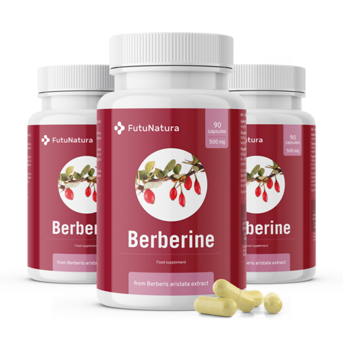 3x Berberină 500 mg, total 270 de capsule