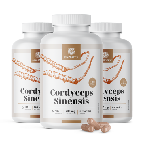 3x Cordyceps sinensis 1400 mg – extract 10:1, total 540 de capsule