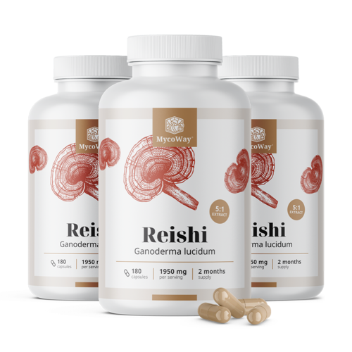 3x Reishi 1950 mg – extract 5:1, total 540 de capsule