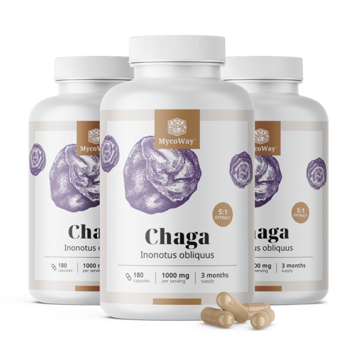 3x Chaga 1000 mg – extract 5:1, total 540 de capsule