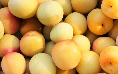 Amygdalín (vitamín B17)