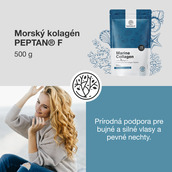 Image preview 1