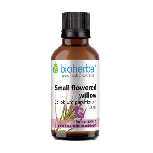 Vŕbovka malokvetá - tinktúra, 50 ml