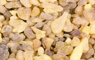 Esenciálny olej Boswellia Esenciálny olej Boswellia