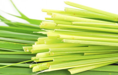 Esenciálny olej Citronella Esenciálny olej Citronella