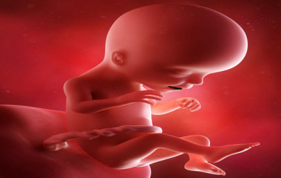 17. týždeň tehotenstva 17. týždeň tehotenstva