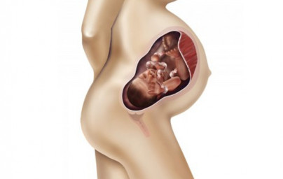 37. týždeň tehotenstva 37. týždeň tehotenstva