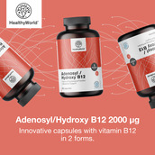 Image preview 2