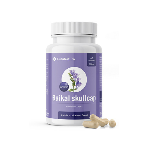 Baikal Skullcap – Extract, 120 capsules