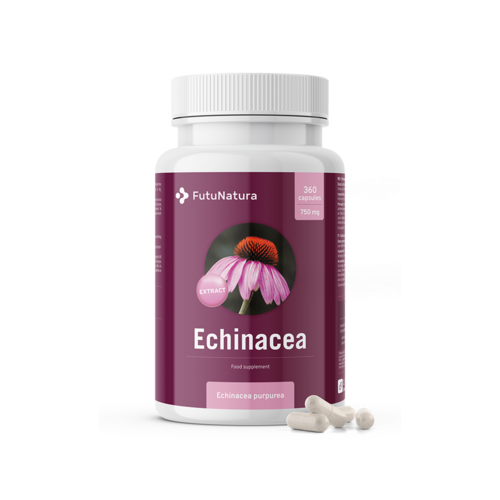 Echinacea – 10:1 Extract, 360 capsules