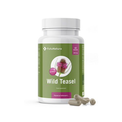 Wild Teasel, 60 capsules