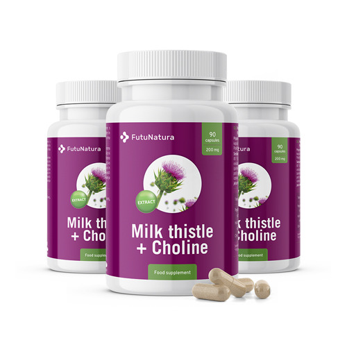 3x Milk Thistle (Silymarin) + Choline, total 270 capsules
