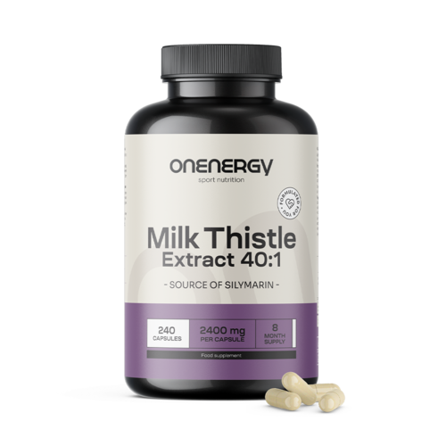 Milk Thistle 40:1 2400 mg, 240 capsules
